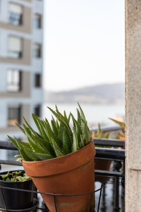 Bonito Piso Con Vistas, Centrico, Acogedor Appartement Comarca de Comarca de Vigo Buitenkant foto